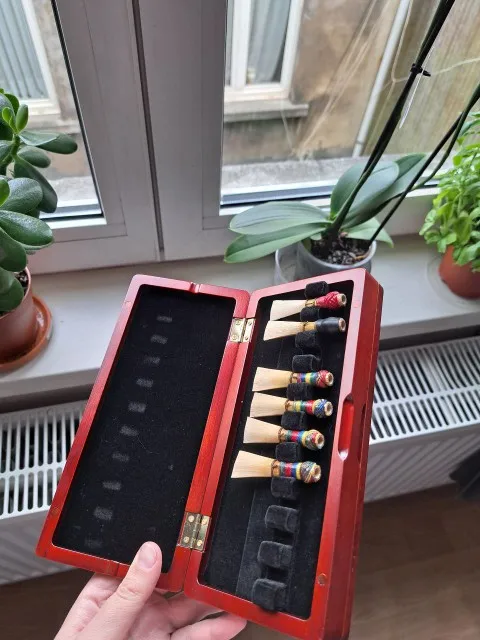 1pcs Bassoon Reed Storage Case - Musical Instrument Bazooka recension och pris