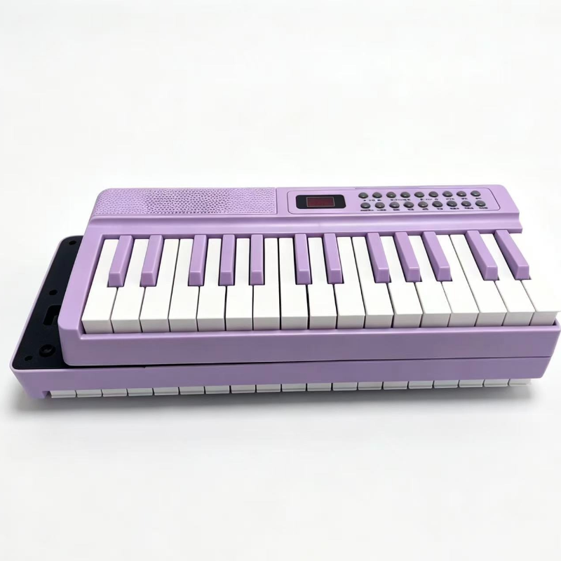 61-Key Portable Digital Piano  - Musical Instrument Organ recension och pris
